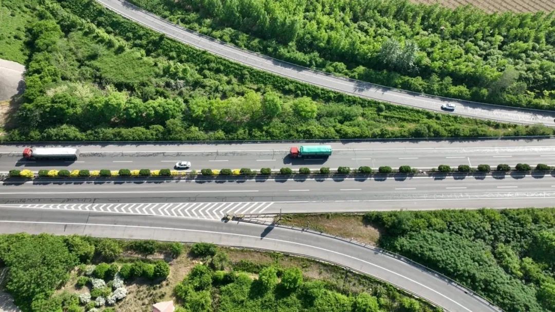 1653289299904571.jpg 2.jpg