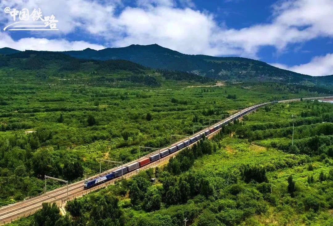 1666775569102075.jpg 4.jpg